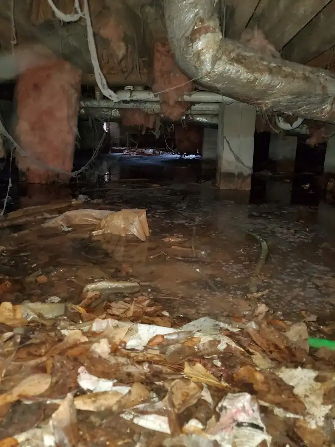 Crawl space flood assessment for Leak Detection & Repair in Oak Hills